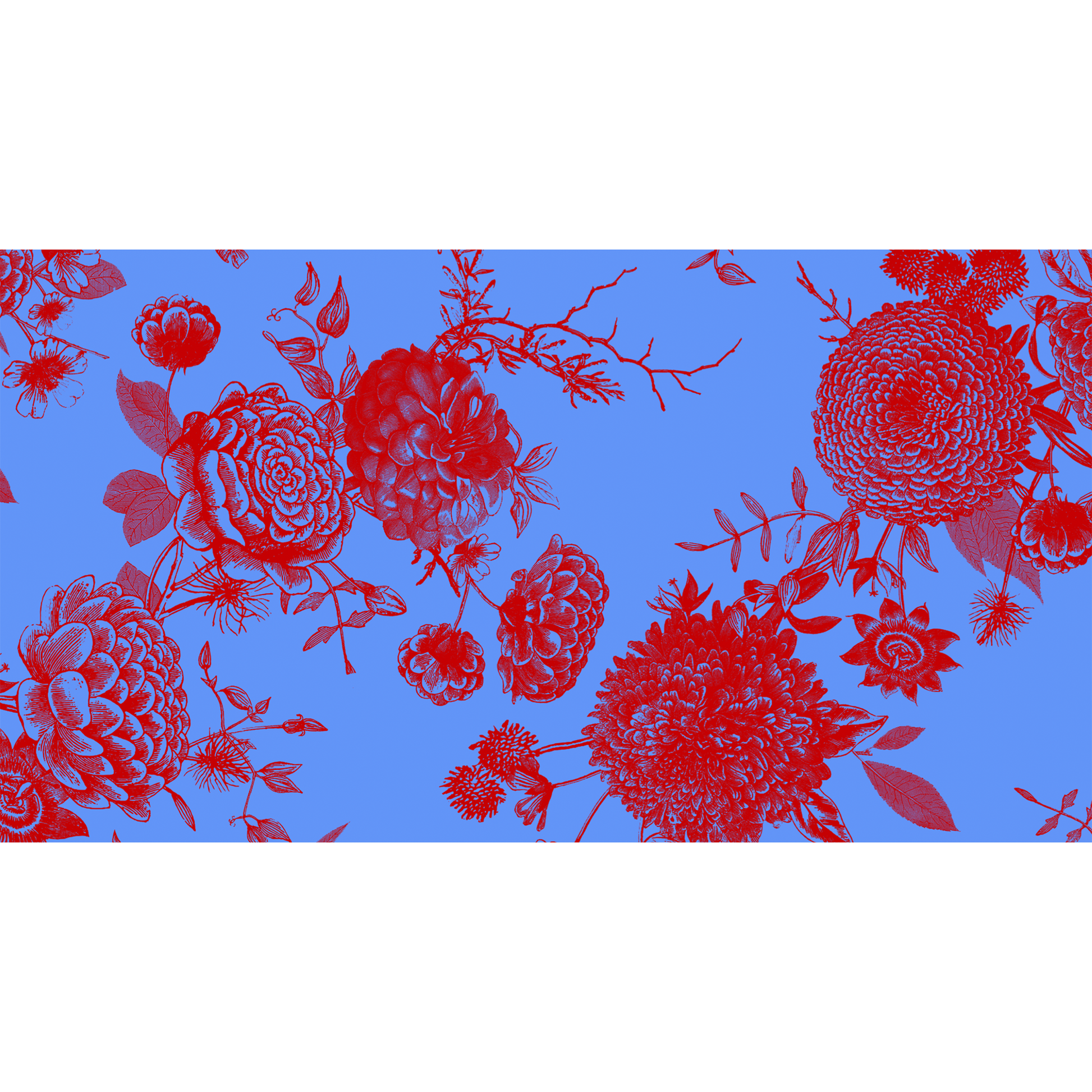 FLOWER EXPLOSION CASHMERE SCARF