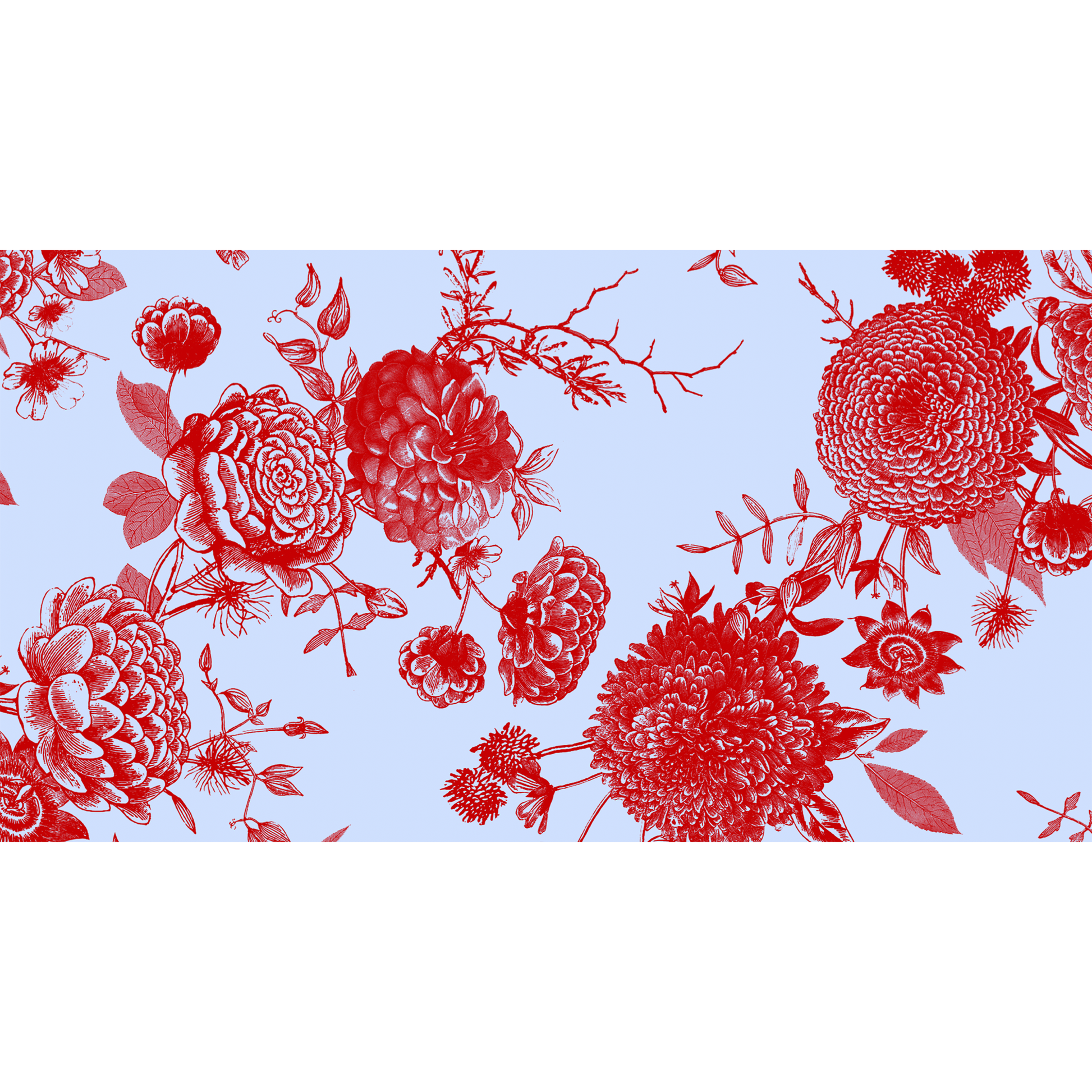FLOWER EXPLOSION CASHMERE SCARF