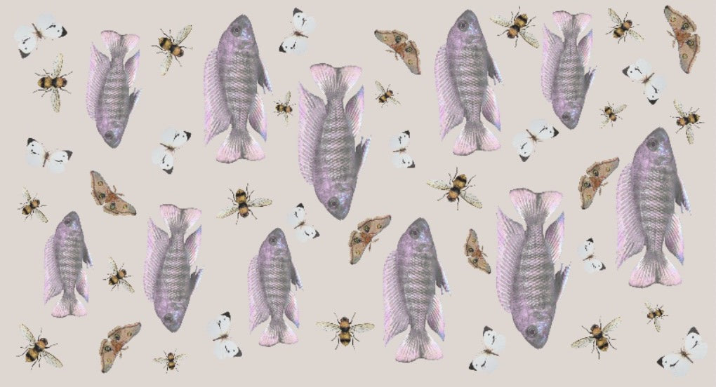 BUTTERFLY & FISH CASHMERE SCARF