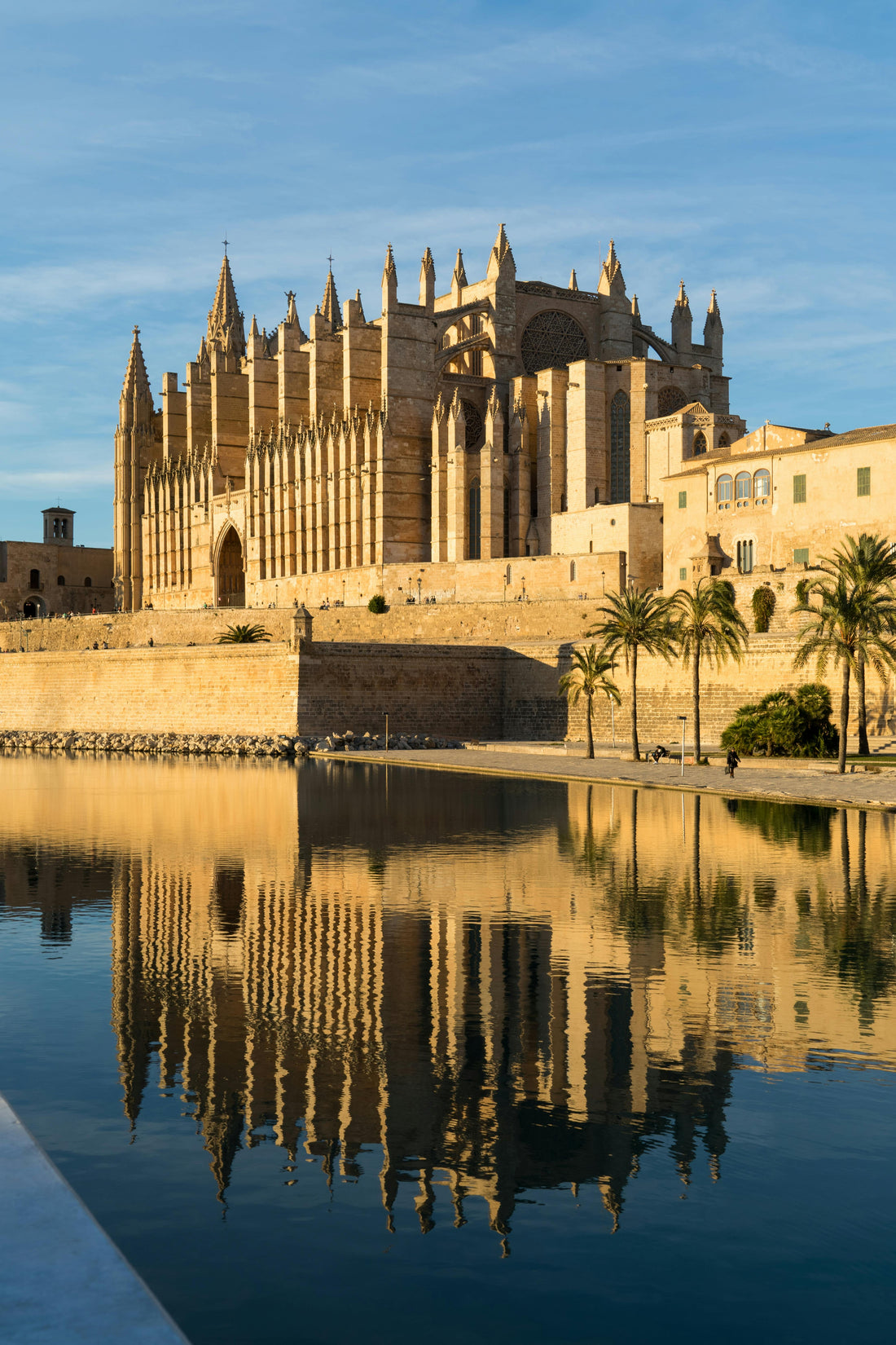 PALMA INSPIRIERT