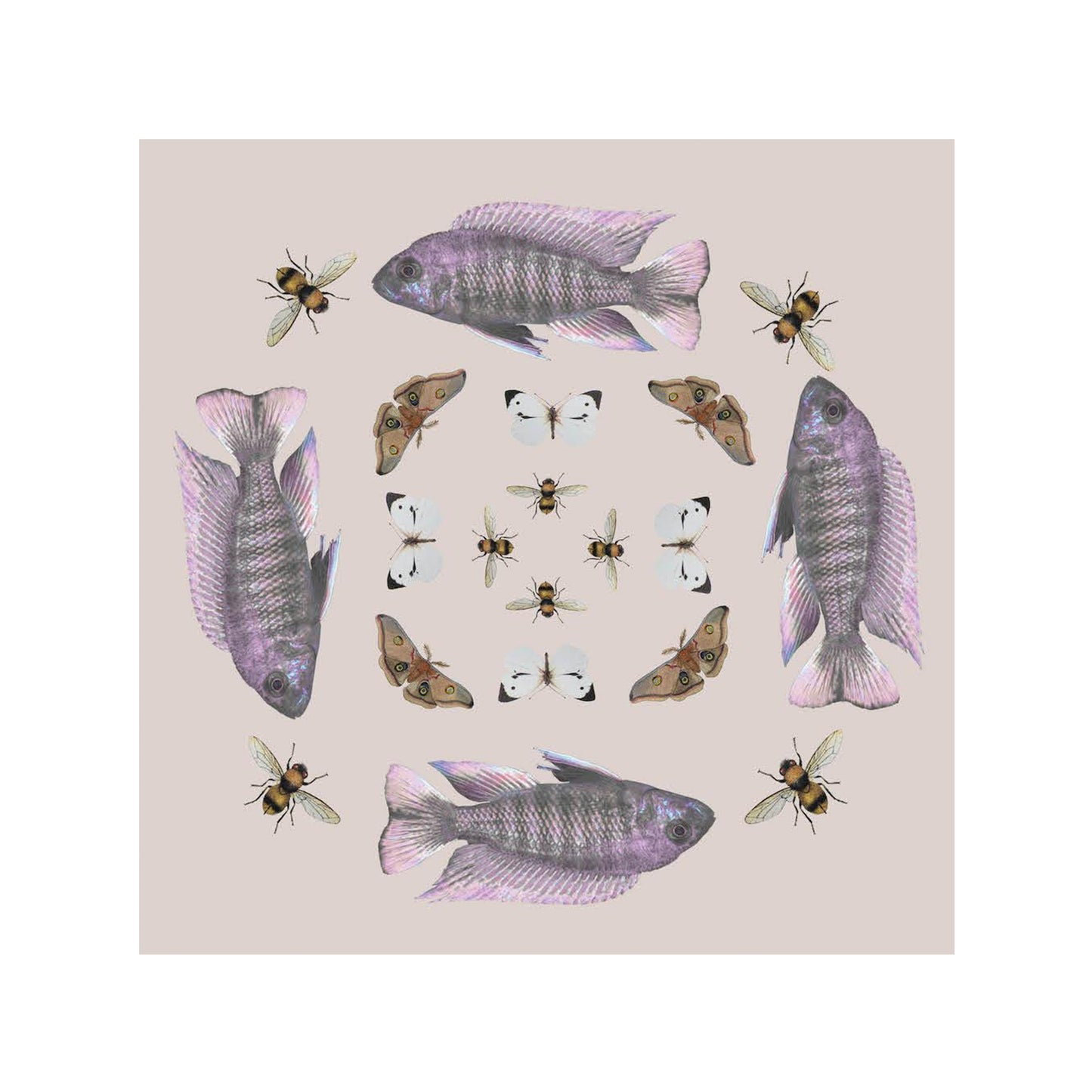 BUTTERFLY & FISH CASHMERE SCARF